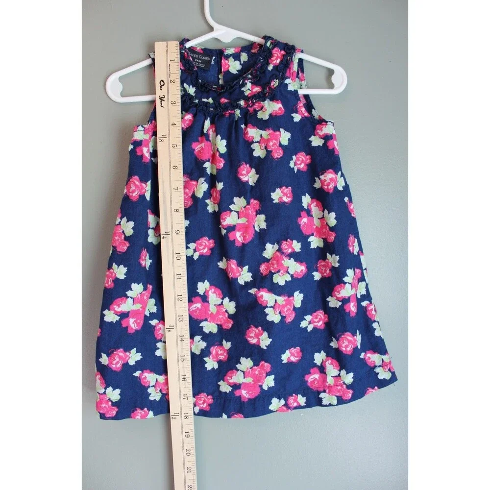 Faded Glory Baby Toddler Dress Navy Blue Pink Rose Sleeveless Size 24M